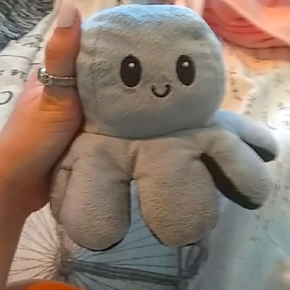 Flippable stuffy